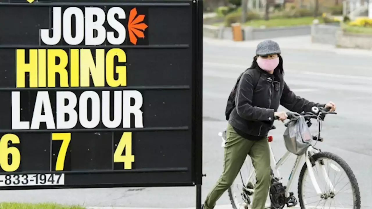 Unemployment rate drops slightly to 5.1% in November, labour market still hot