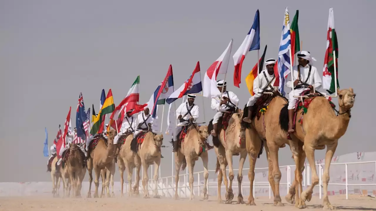 Camel pageant among attractions on World Cup sidelines