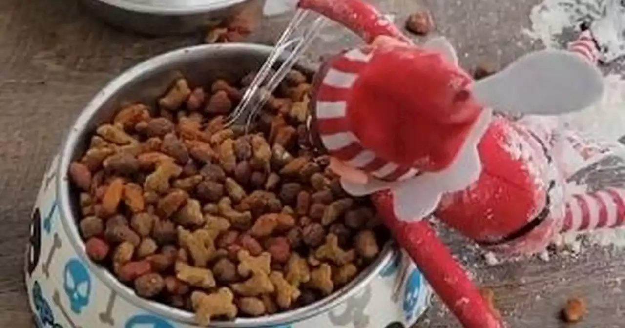 Elf on the Shelf prank backfires on mum after sons take over