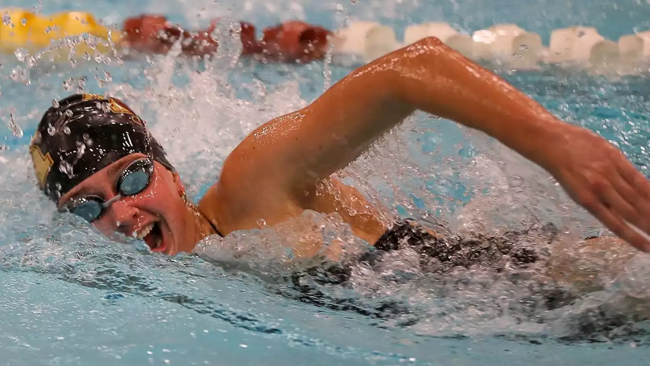 New Albany leads deep pool of girls swimming and diving talent in central Ohio