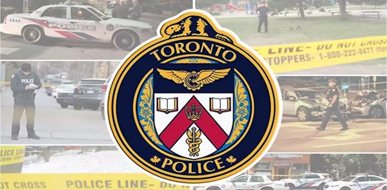 Child, 6, assaulted in Scarborough