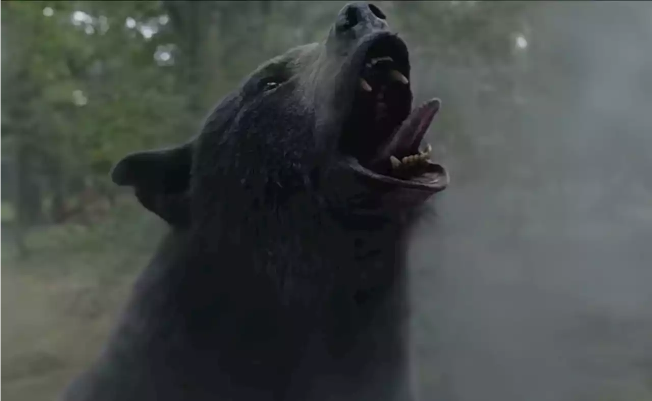 'Cocaine Bear', la historia real del oso que murió por una sobredosis e inspiró la película