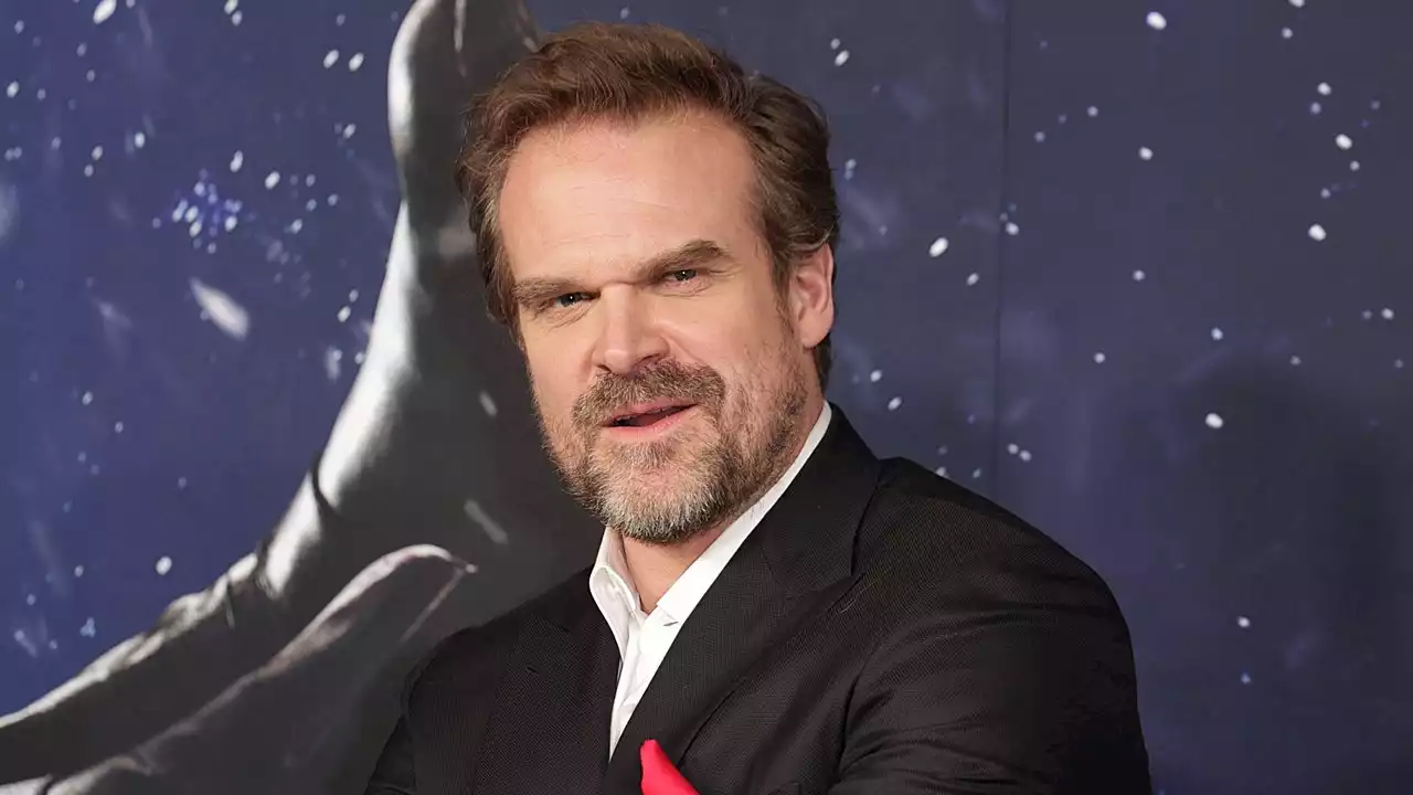 David Harbour's Stepdaughter Said This Was His 'Worst' Movie