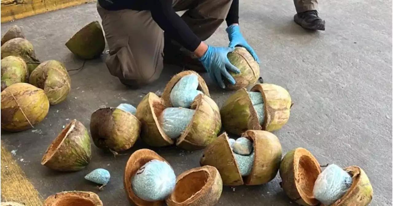 300 kilos de fentanilo eran transportados dentro de cocos en Sonora