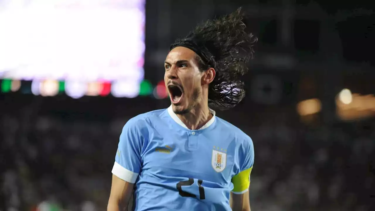 Vidéo : Edinson Cavani casse l'écran du VAR après Uruguay-Ghana