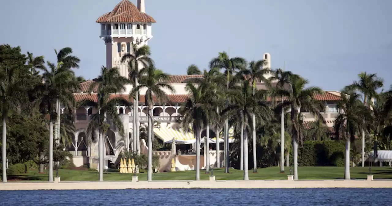 Trump probe: Appeals court halts Mar-a-Lago special master review