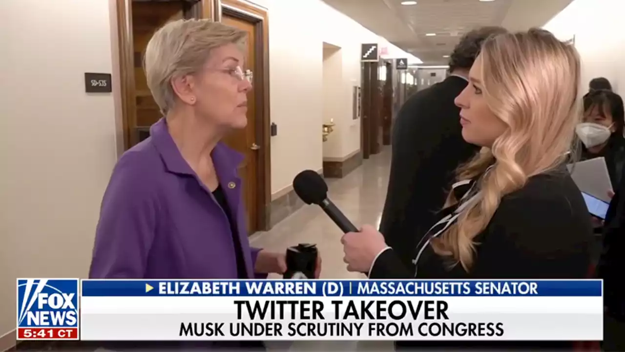 Sen. Warren roasted for saying Musk 'should not decide' how to run Twitter