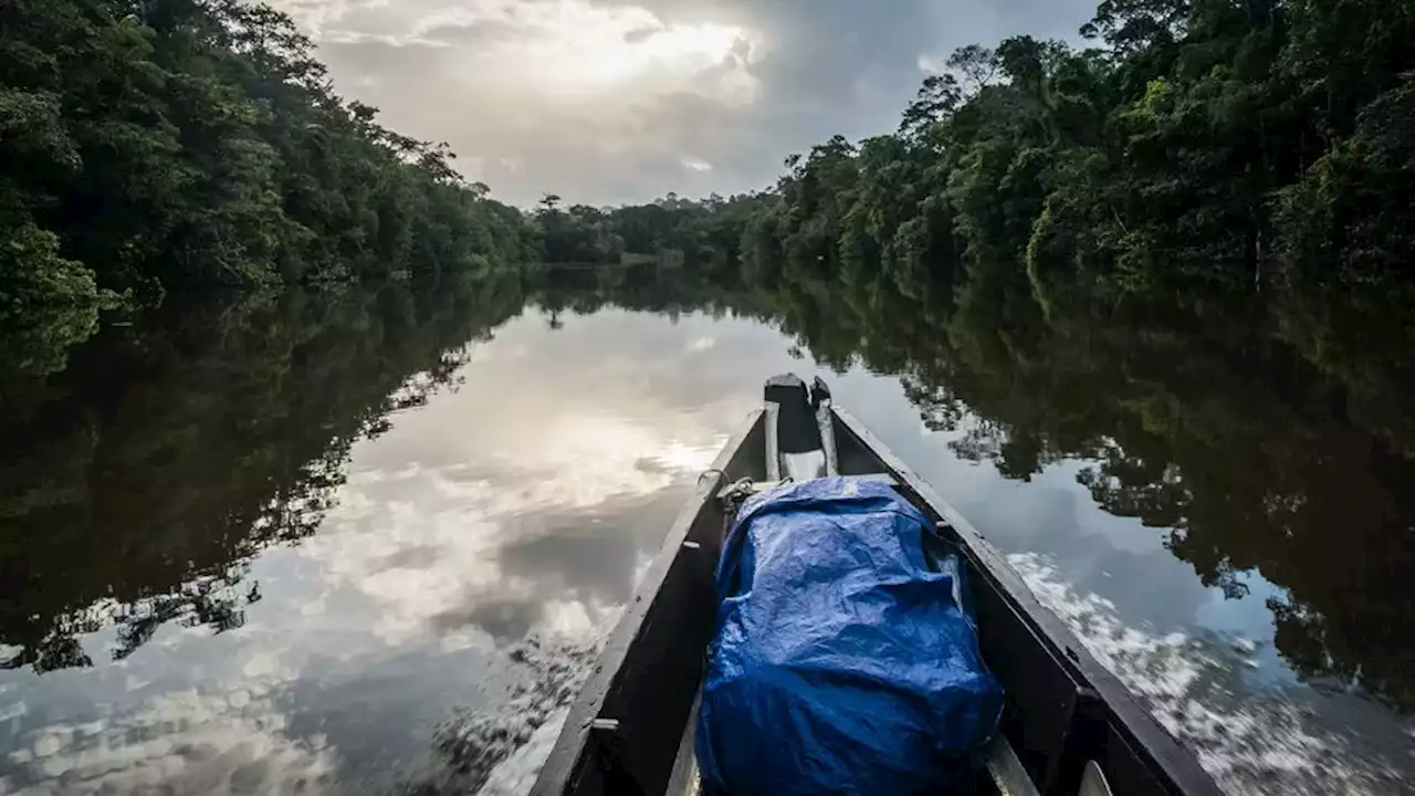 Pour une expérience scientifique, vingt volontaires s'embarquent pour un aventure de 40 jours en forêt guyanaise