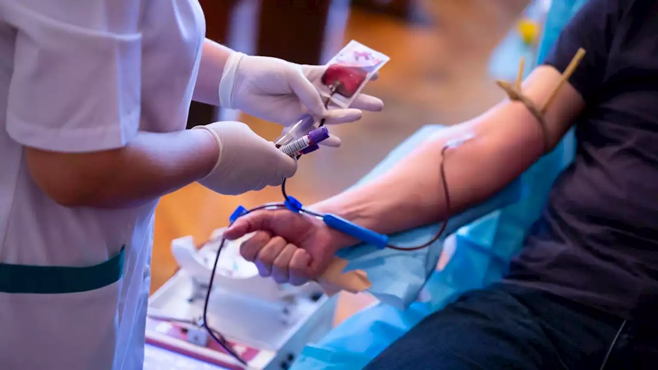 FDA Will Finally Let More Gay and Bisexual Men Donate Blood, Report Says