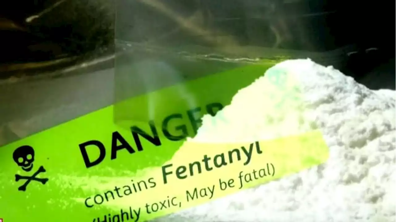 Team of UH scientists find new hope in the fight against fentanyl: A vaccine