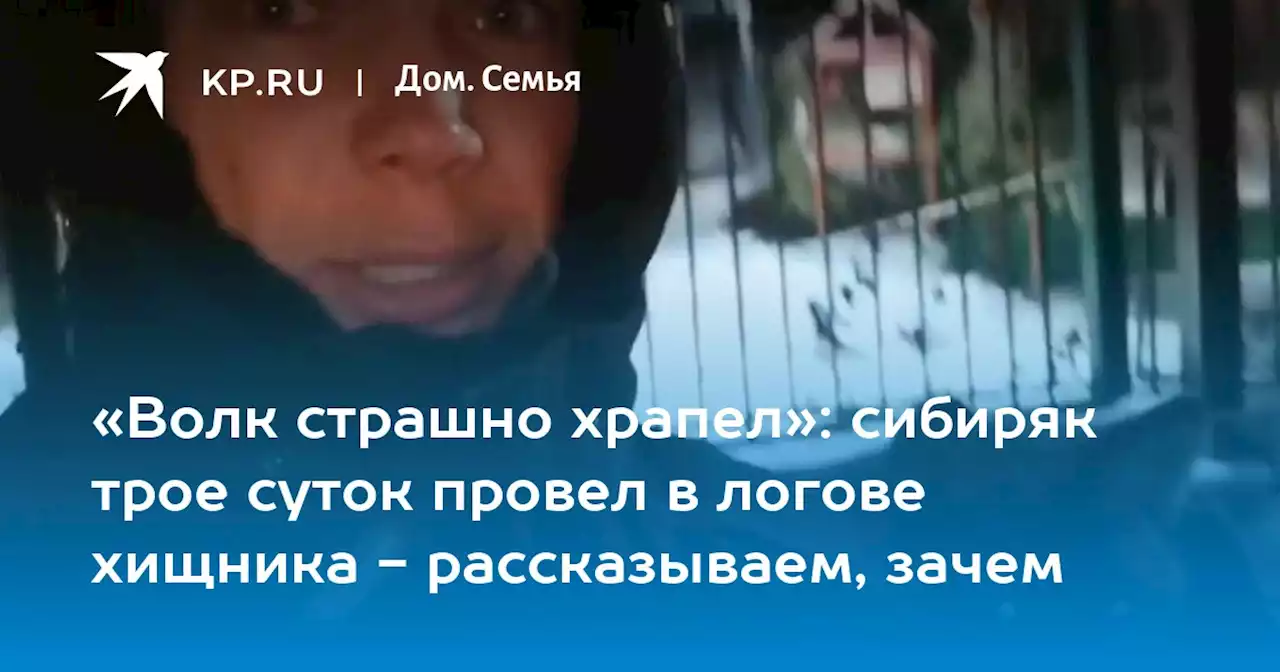 «Волк страшно храпел»: сибиряк трое суток провел в логове хищника - рассказываем, зачем