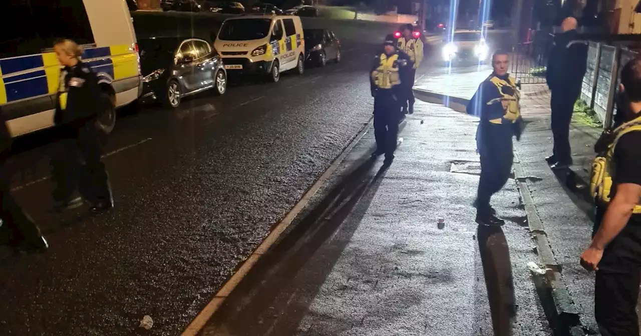 Gang flee police in Leeds as terrifying machetes found dumped in bush