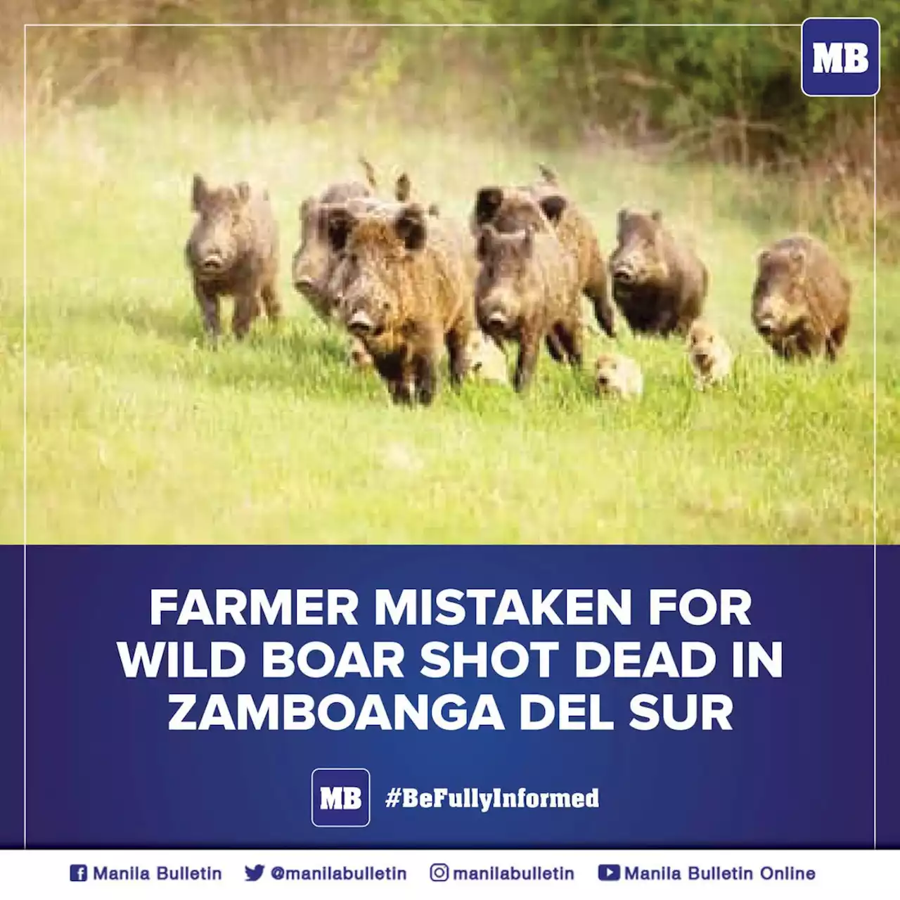 Farmer mistaken for wild boar shot dead in Zamboanga del Sur