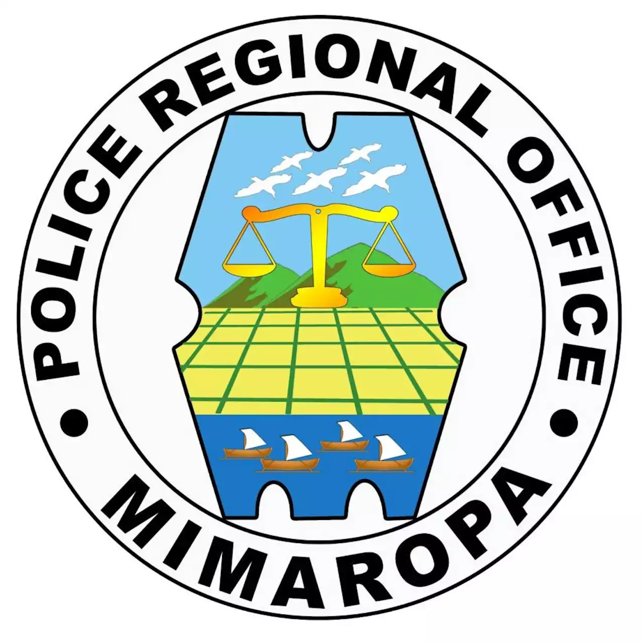 Man wanted for child porn in Mimaropa nabbed in Paranaque