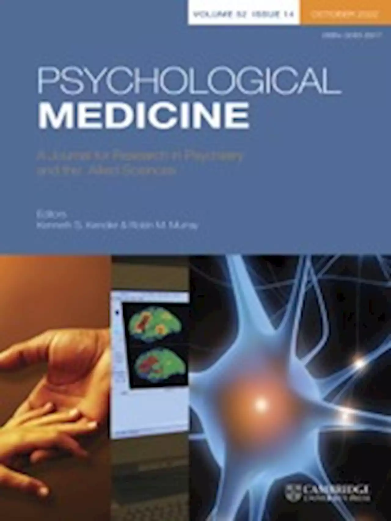 Intergenerational effects of maternal lifetime stressor exposure on offspring telomere length in Black and White women | Psychological Medicine | Cambridge Core