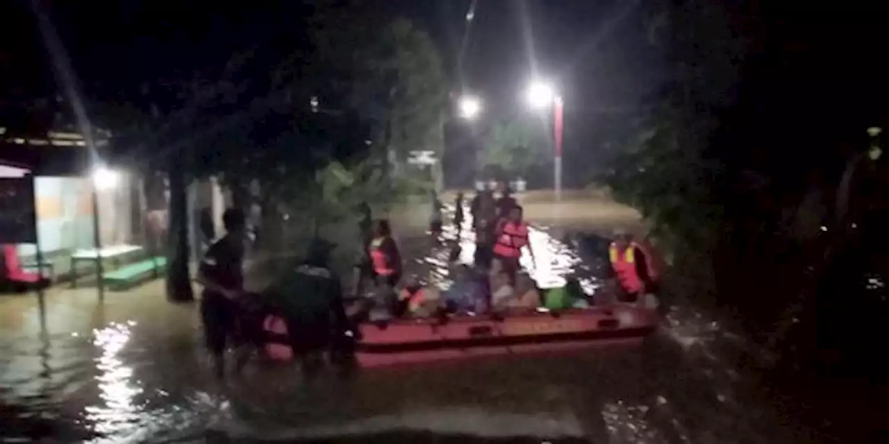 Selain Korban Jiwa, Banjir di Pati juga Sebabkan Sejumlah Hewan Ternak Mati | merdeka.com