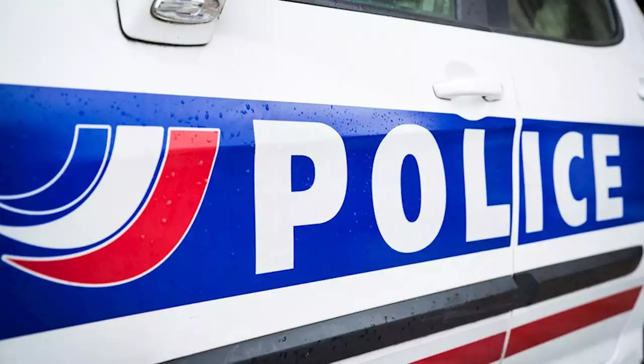 Vaucluse : deux bébés retrouvés morts dans un congélateur, une femme placée en garde à vue