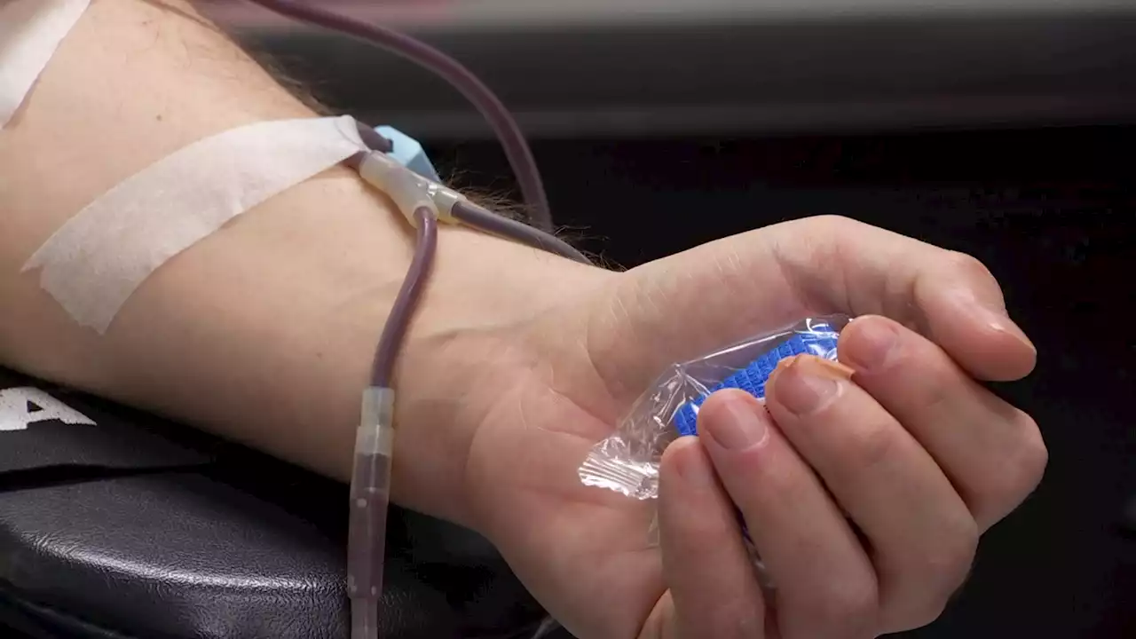 FDA Considers Easing 'Outdated' Blood Donation Restrictions on Gay, Bisexual Men