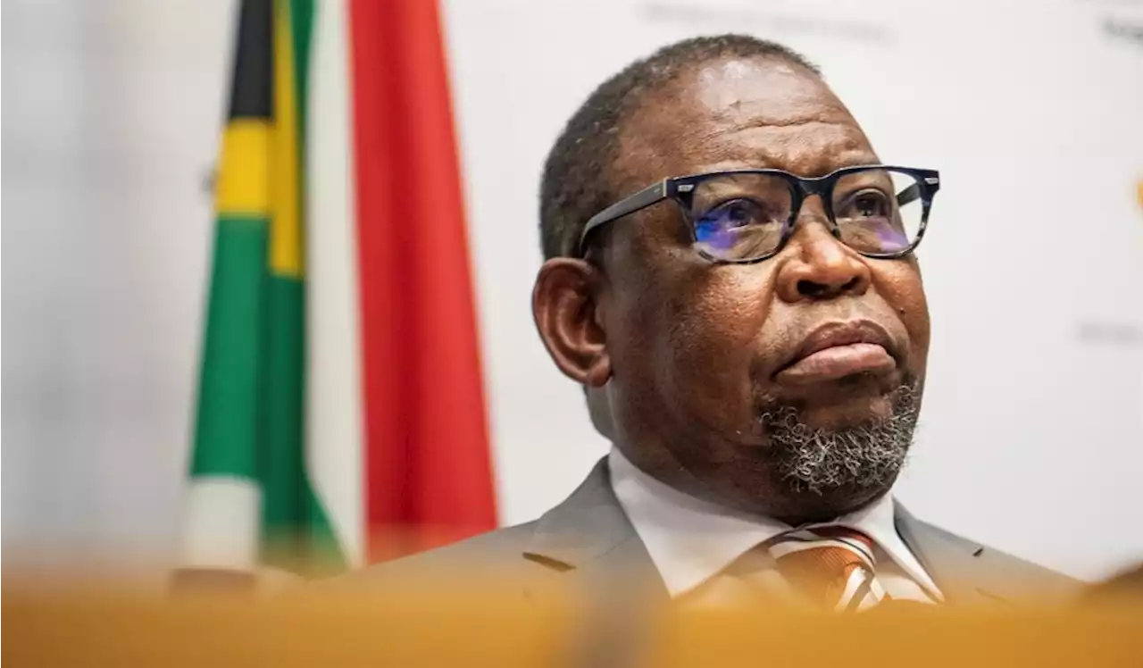 Godongwana: 10% chance of Ramaphosa resigning | Business