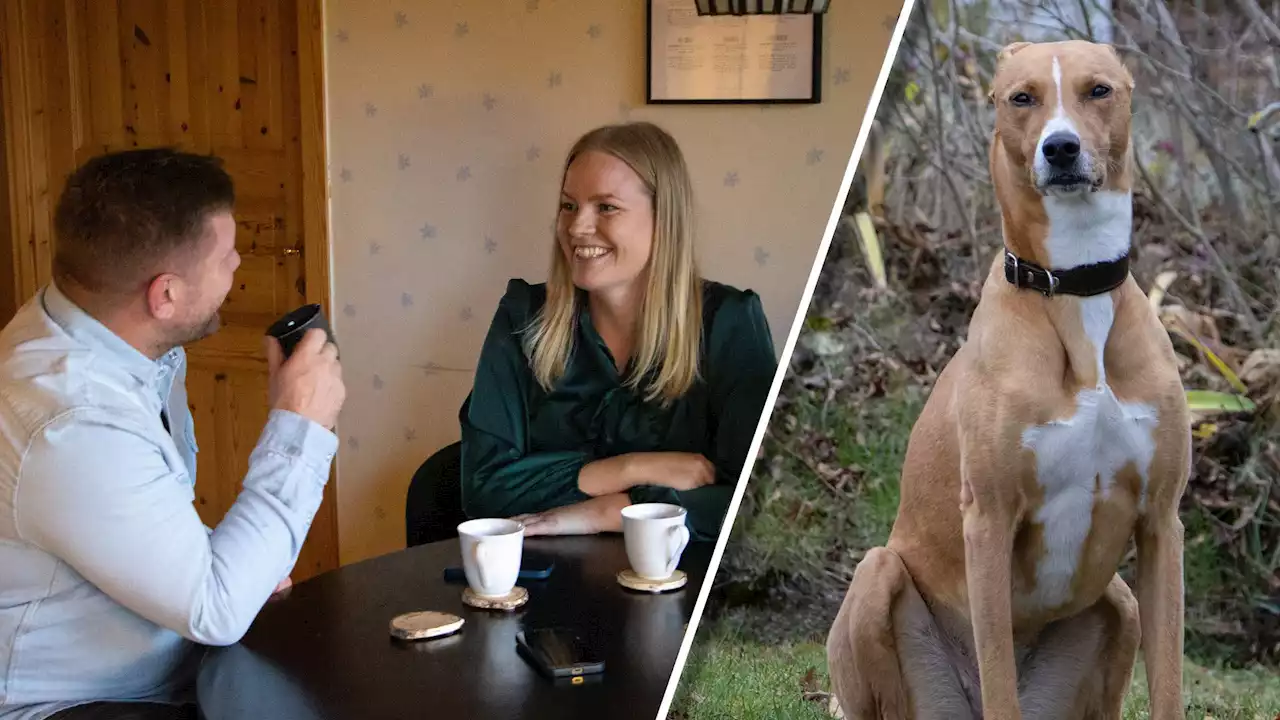 Johanna, Stephen och Fliss lämnade innerstan för livet i Finsta