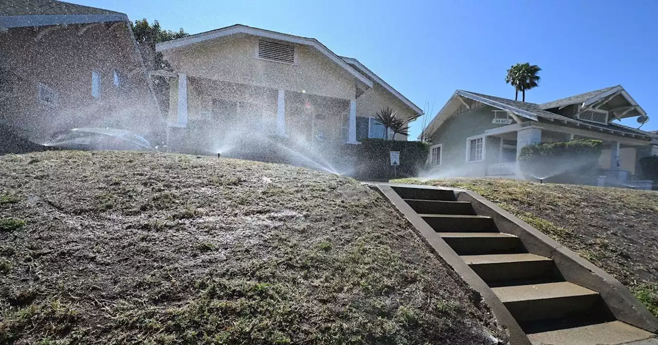 Is the American West Finally Ready to Kill the Lawn?