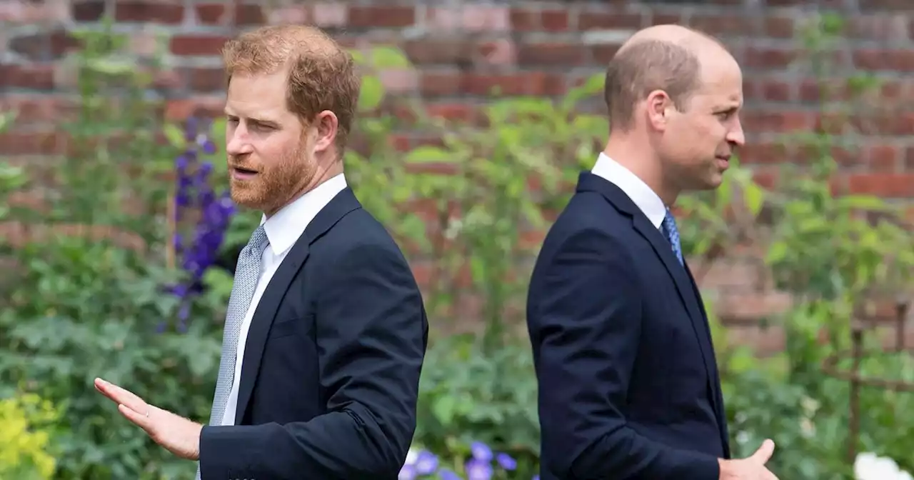 GMB fans accuse show of 'fuelling competition between Princes Harry and William'