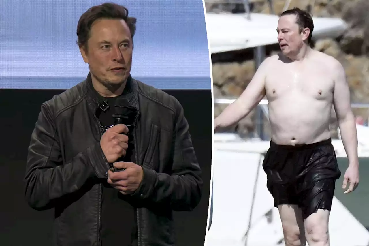 Elon Musk calls viral Mykonos pics ‘helpful motivation to lose weight’