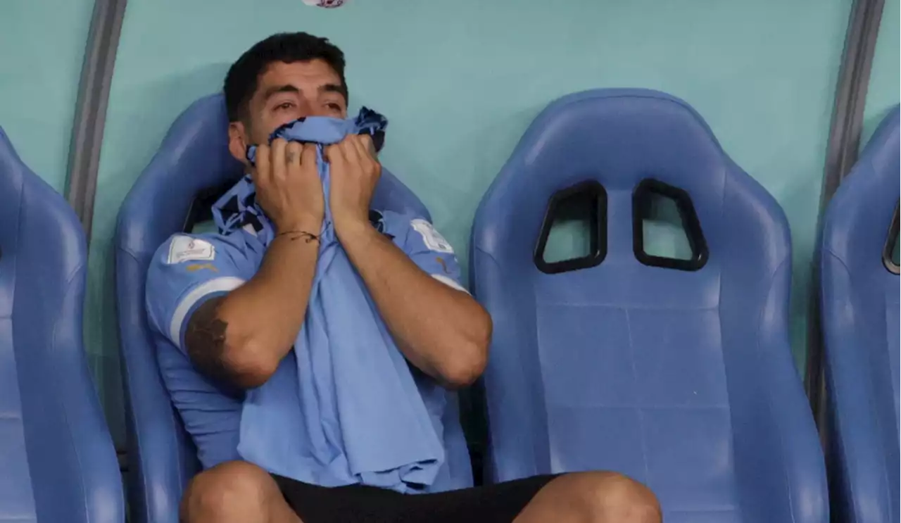 Luis Suárez despidió su último Mundial llorando: tuvo cara de tragedia por casi 15 minutos - Pulzo