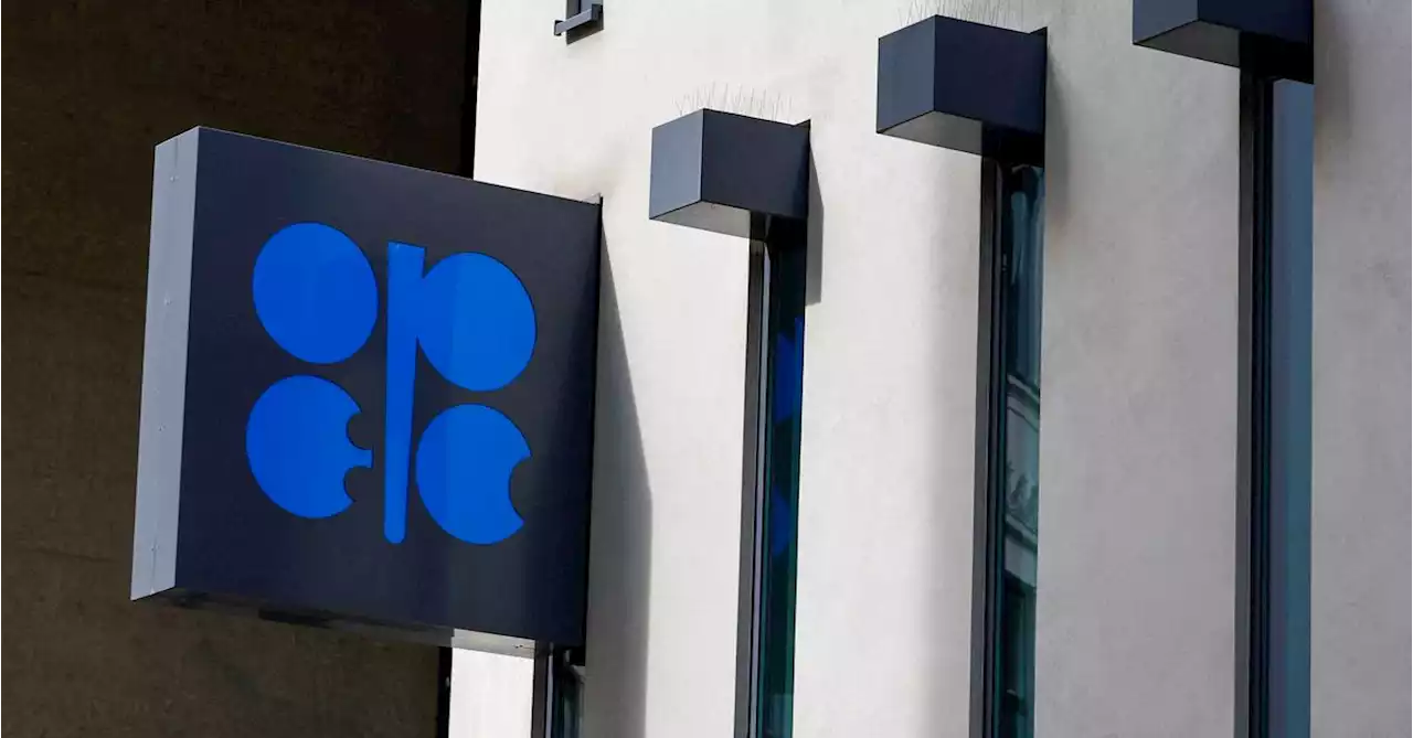 OPEC+ seen heading for oil policy rollover, cut not ruled out