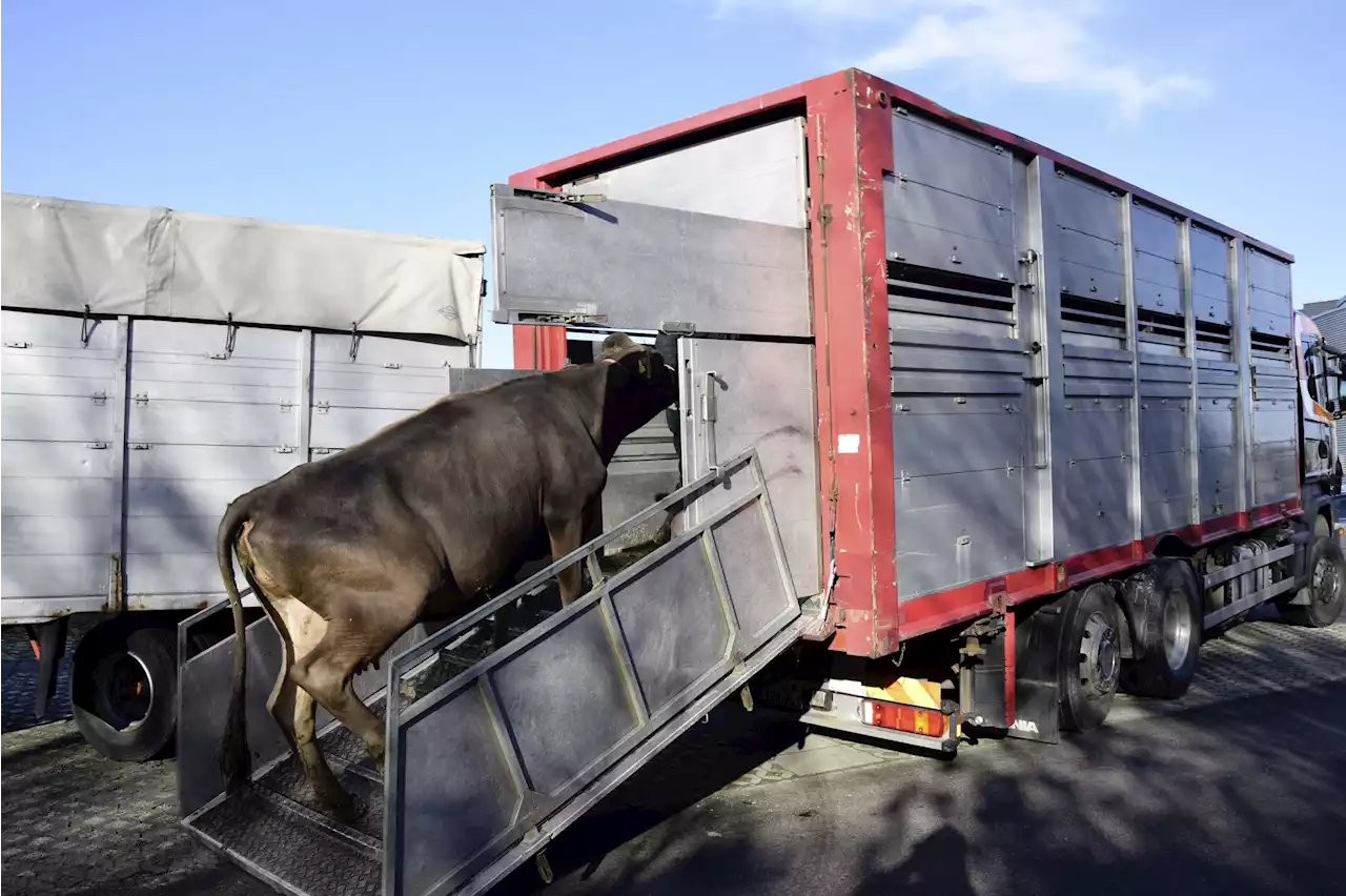 Neues Lastwagen-Kontrollzentrum eröffnet - Schweizer Bauer