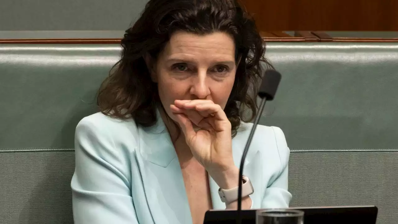 'It would be damaging': Spender warns Dutton over Voice call