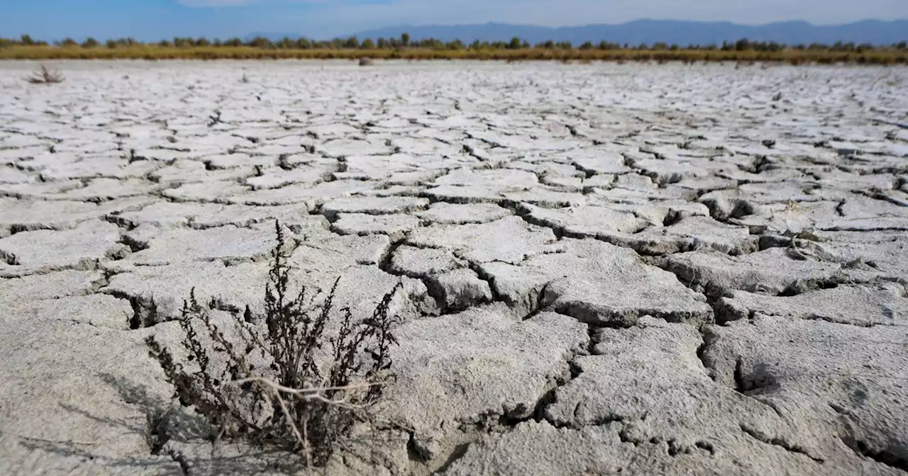 ‘We must do whatever is necessary’: Mitt Romney’s bill funding study of Great Salt Lake sails through Senate