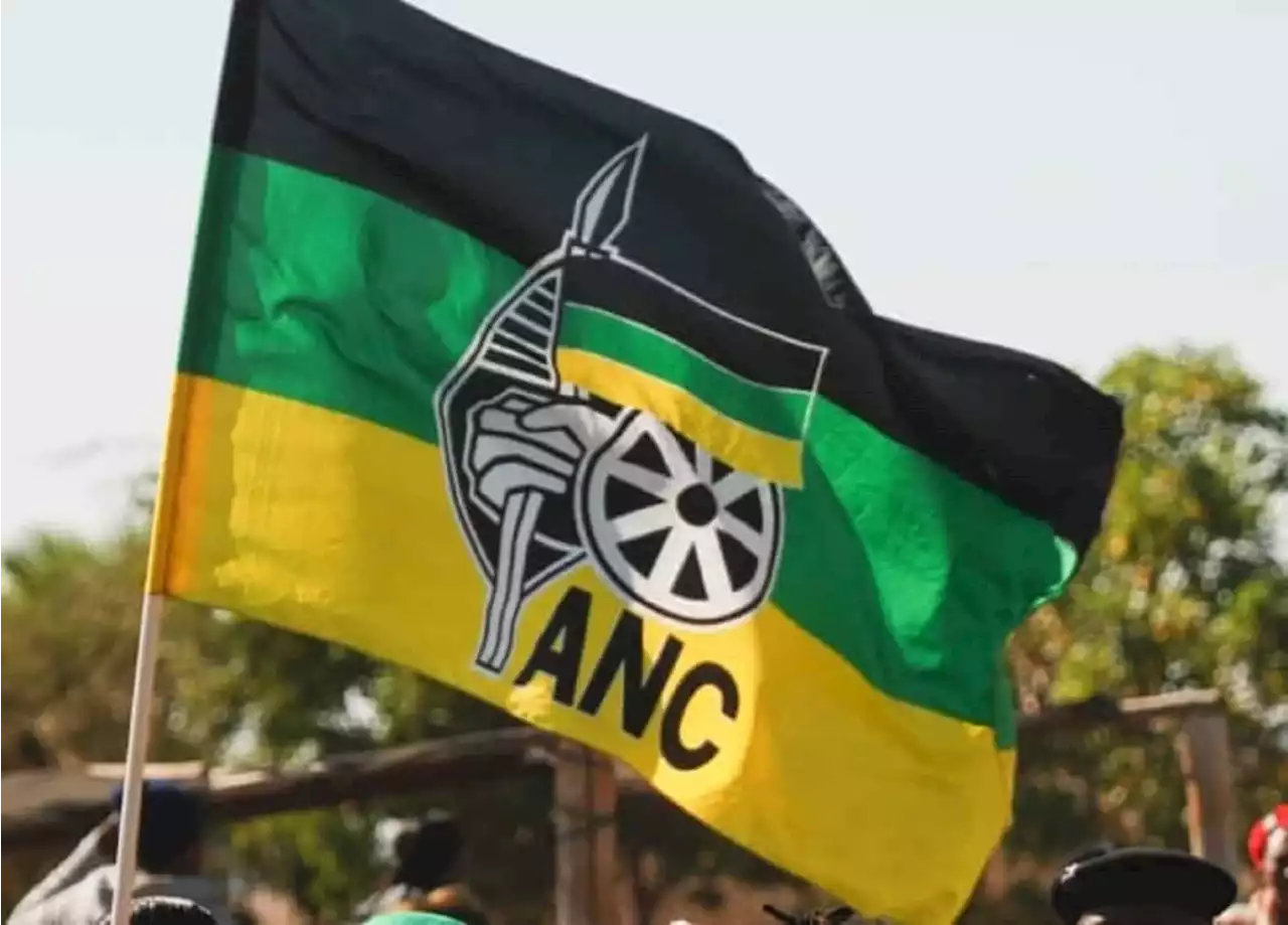 IFP accuses ANC of vote-rigging | Witness