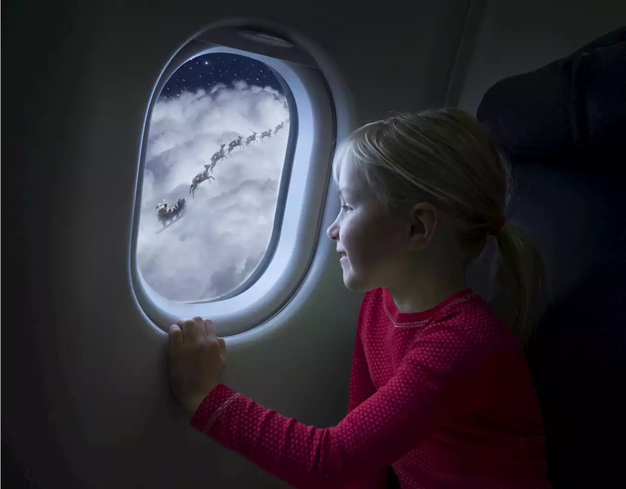 Why plane cabin lights are dimmed for take-off and landing explained