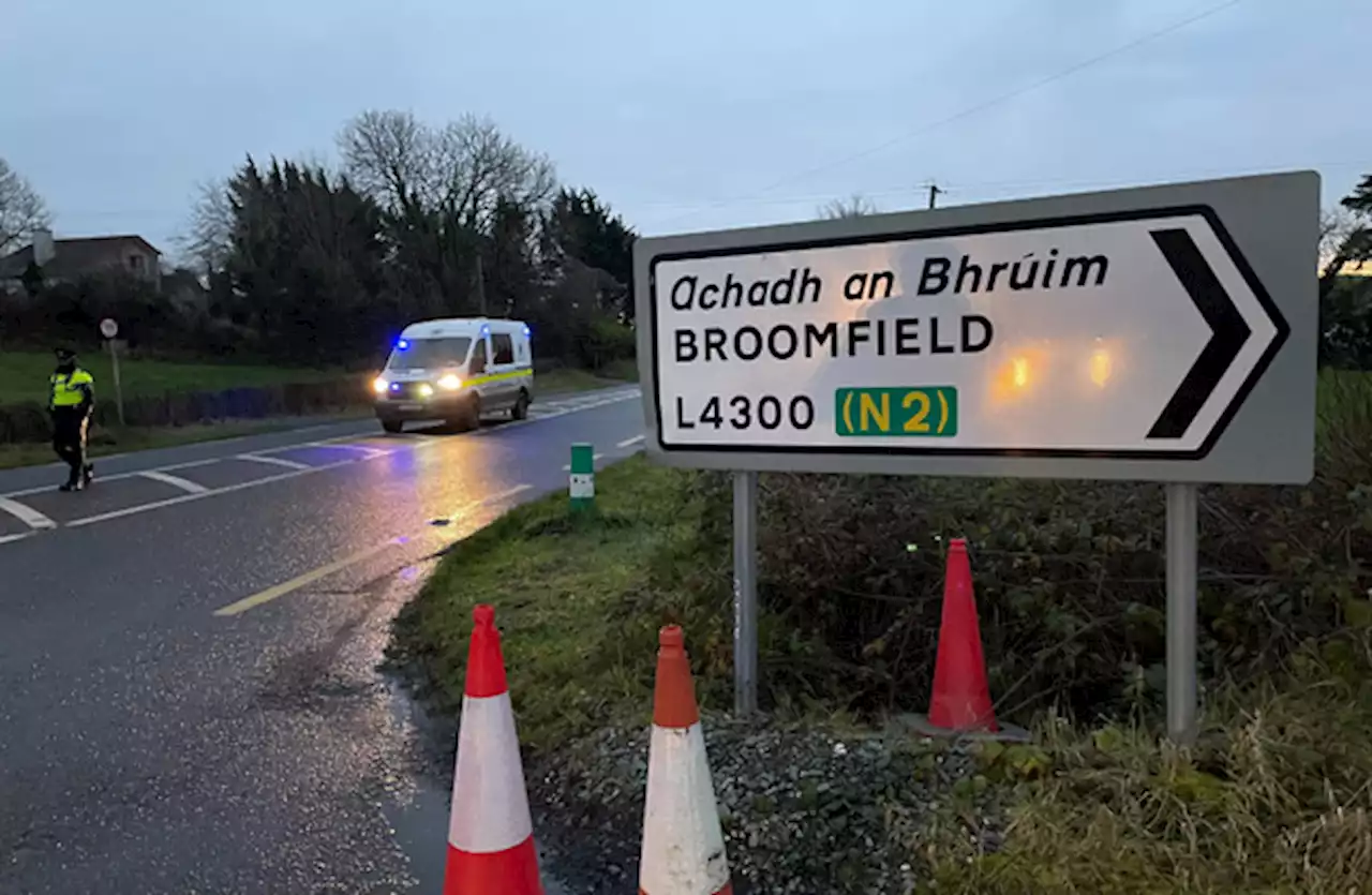 Man killed in Monaghan house suffered 'violent death', say gardaí