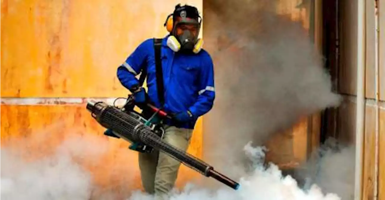 Increase in dengue cases in 47th epidemiological week