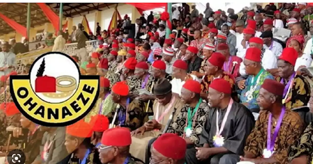 Ohanaeze Warns against New Group, Says Their Activities Inimical to Igbo Interest – THISDAYLIVE