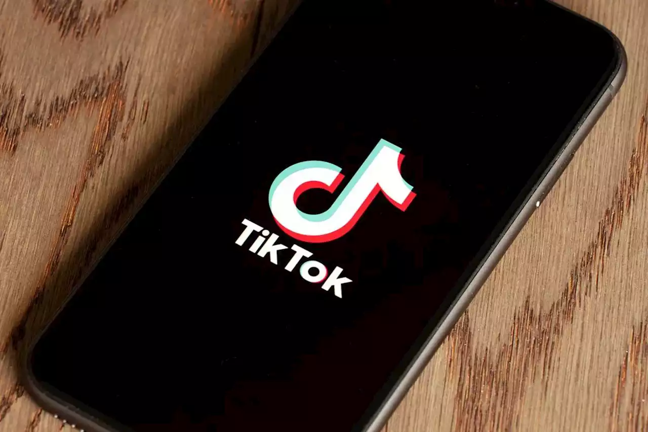 ‘I felt gaslit’: Indigenous TikTok creator says federal officials were disrespectful in ‘tense’ meeting