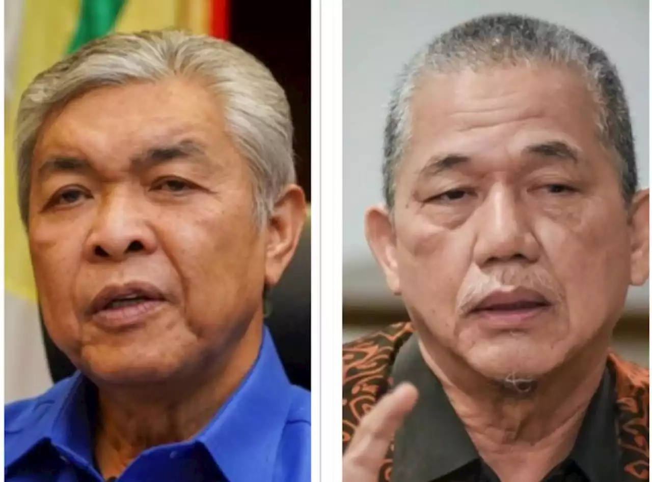 Ahmad Zahid, Fadilah dilantik sebagai TPM