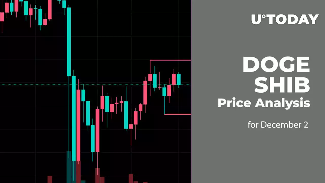 DOGE and SHIB Price Analysis for December 2