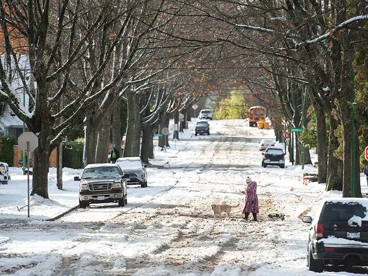 Snow set to hit Metro Vancouver again Friday