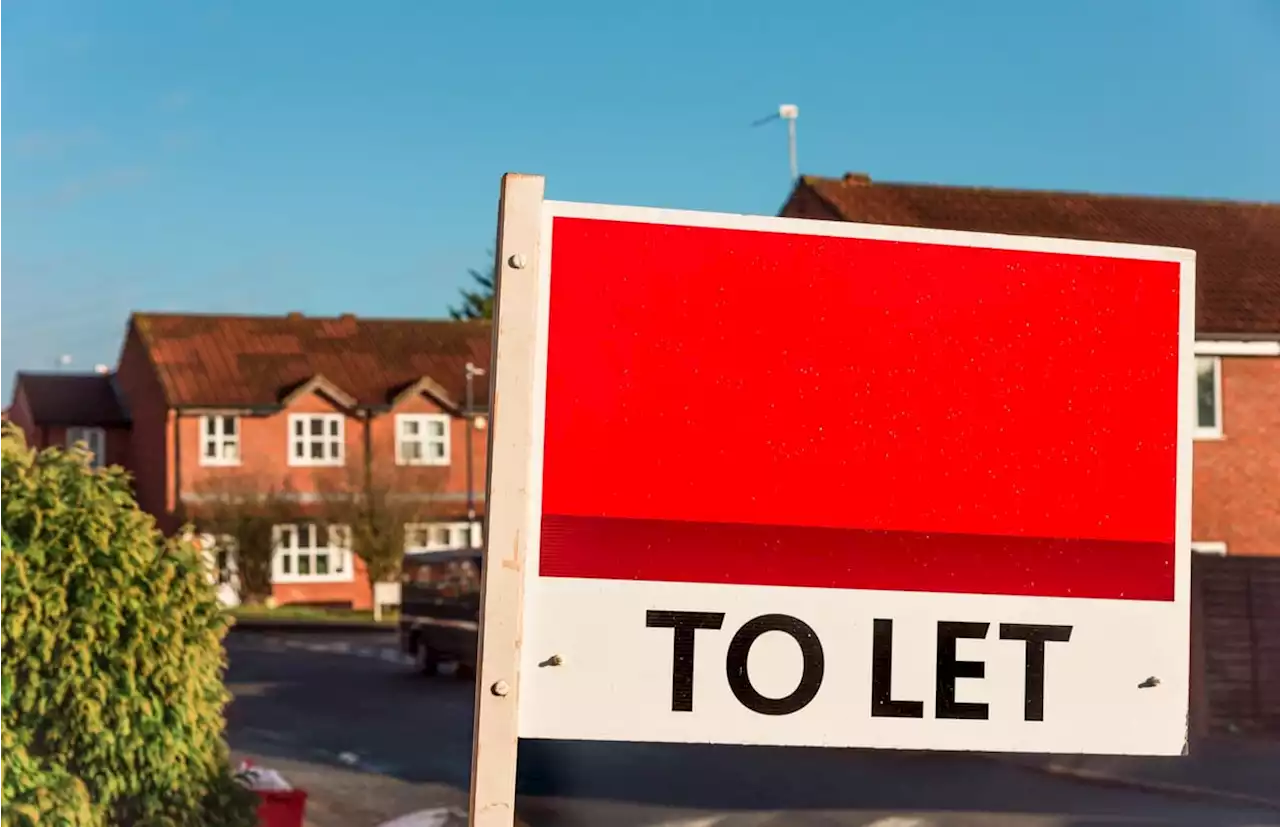 Collapsing ceilings and black mould show sorry state of rental properties in one Yorkshire area