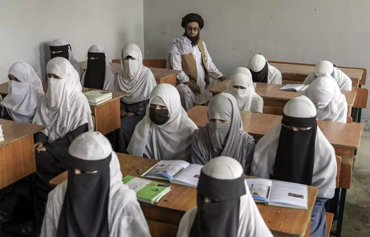 En Afghanistan, les talibans interdisent aux filles d’aller à l’université