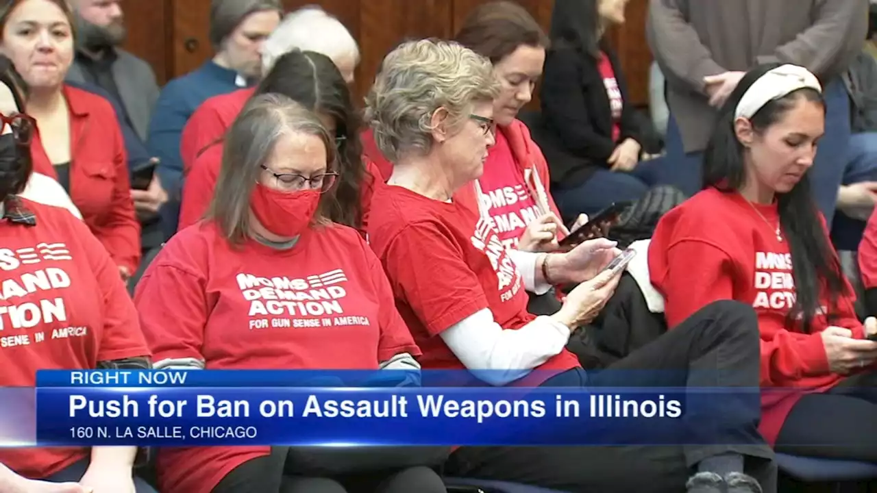 Illinois lawmakers hear testimony on assault weapon ban legislation