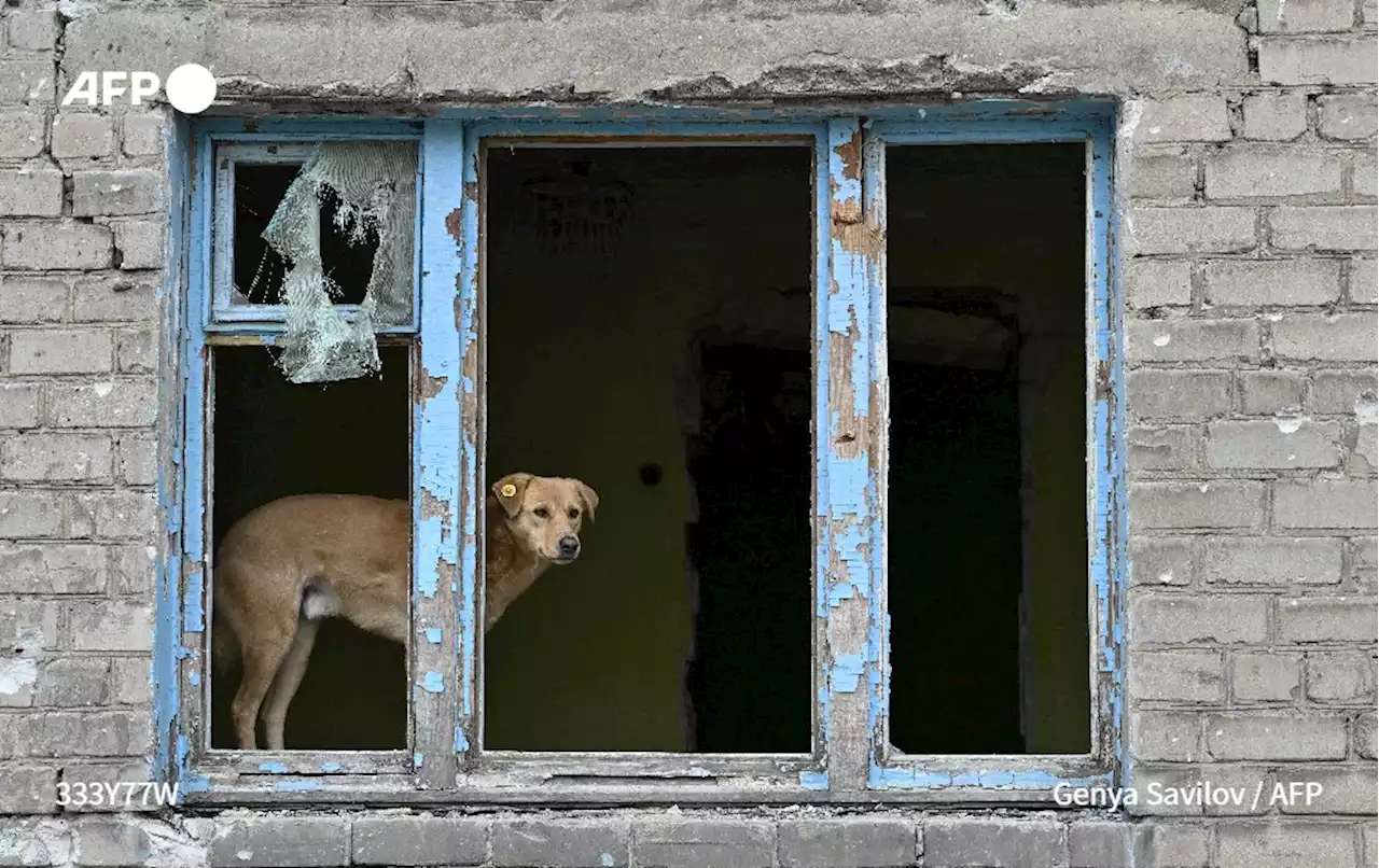 Ukraine: la vie sous terre des derniers habitants d'Avdïivka bombardée