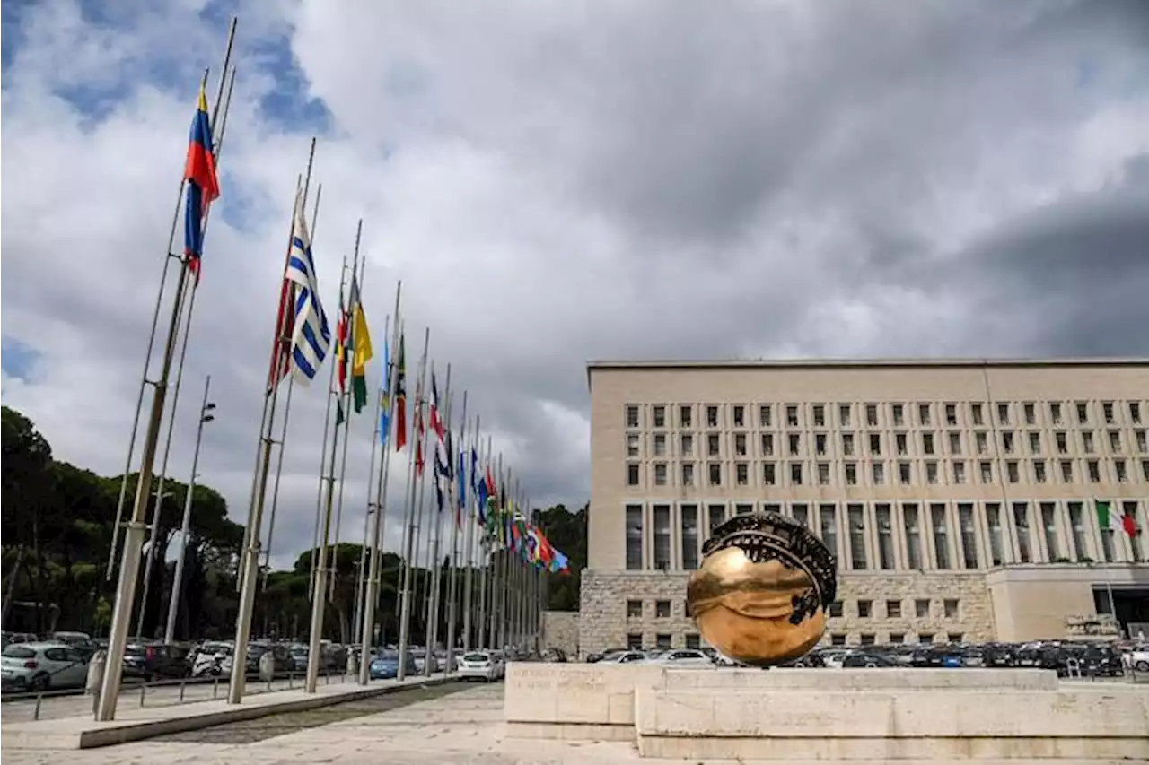 Tutto pronto alla Farnesina per la XV Conferenza degli Ambasciatori - ANSA 4 Diplomacy