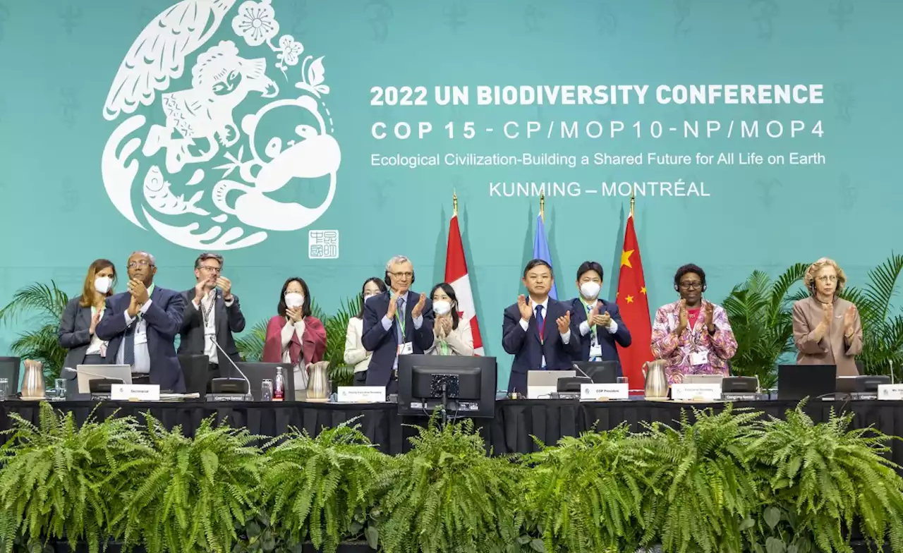 Africa: UN Conference Concludes With 'Historic' Deal to Protect a Third of the World's Biodiversity