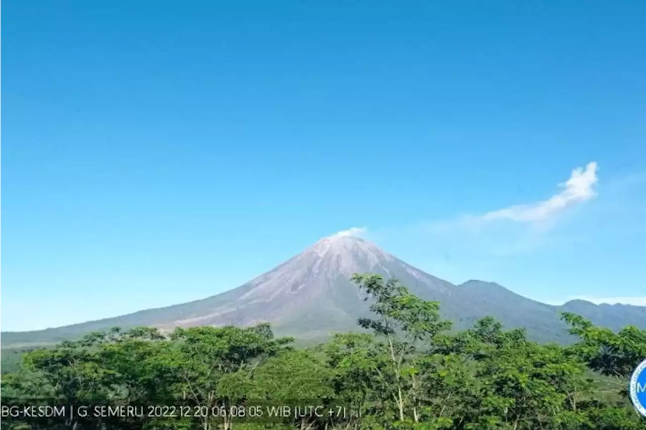 Aktivitas Gunung Semeru masih didominasi erupsi dan guguran