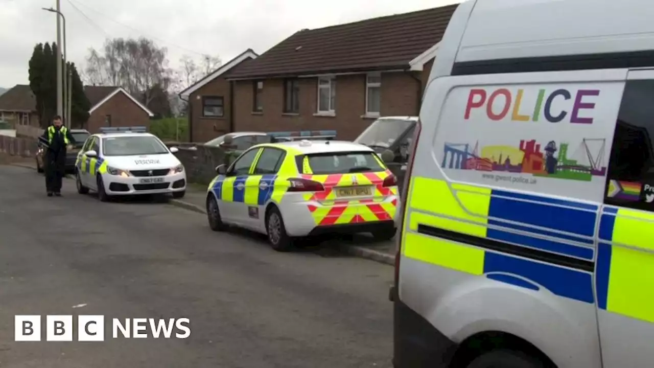 Caerphilly: Woman, 83, dies after being injured in dog attack