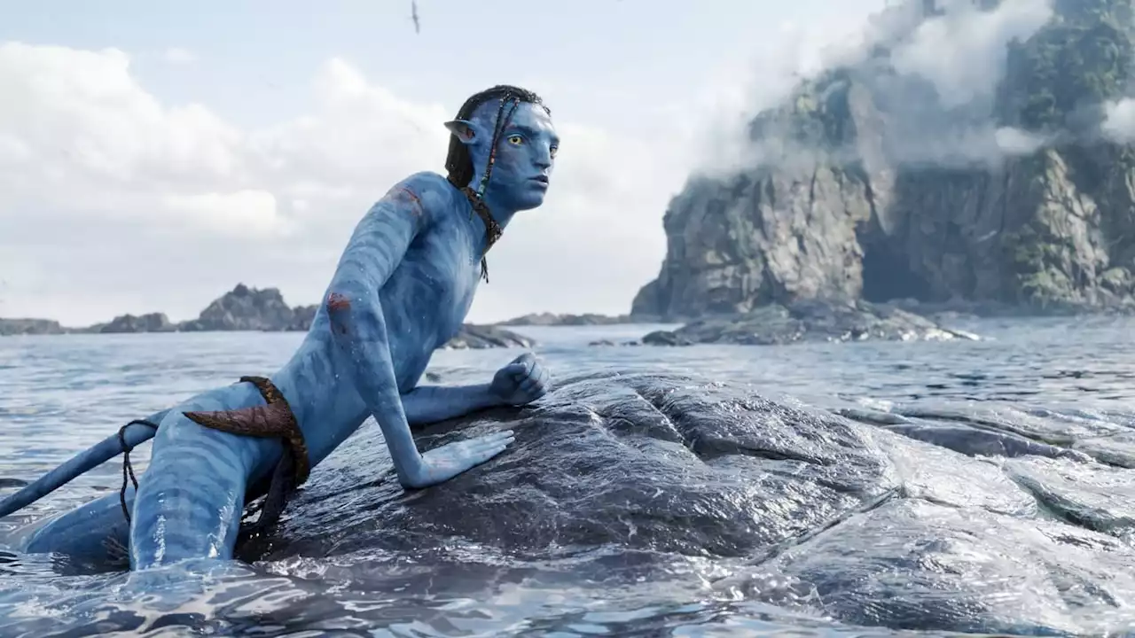 'Avatar: la voie de l'eau' signe le meilleur démarrage de l'année en France